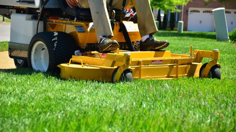 lawn-care-643559_1280